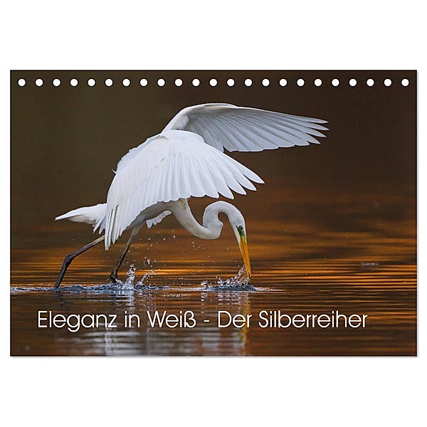 Eleganz in Weiss - Der Silberreiher (Tischkalender 2024 DIN A5 quer), CALVENDO Monatskalender, Wilfried Martin