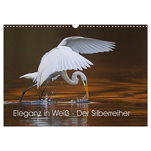 Eleganz in Weiss - Der Silberreiher (Wandkalender 2024 DIN A3 quer), CALVENDO Monatskalender, Wilfried Martin