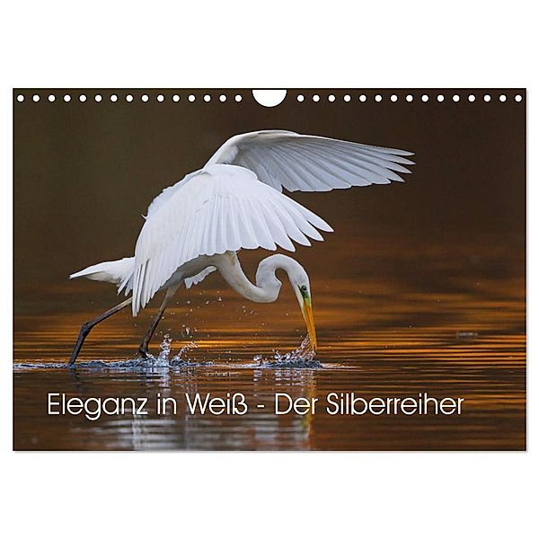 Eleganz in Weiss - Der Silberreiher (Wandkalender 2024 DIN A4 quer), CALVENDO Monatskalender, Wilfried Martin