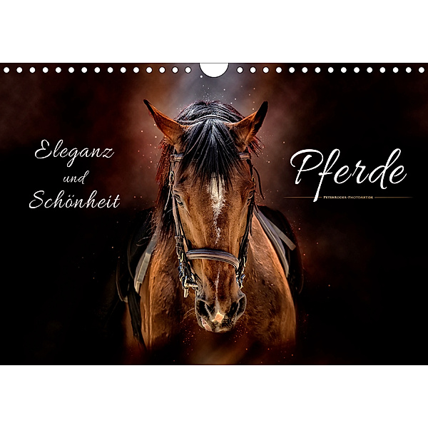 Eleganz und Schönheit - Pferde (Wandkalender 2020 DIN A4 quer), Peter Roder