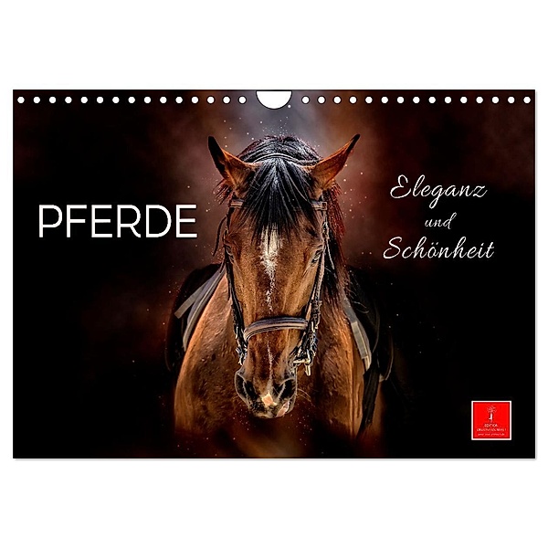 Eleganz und Schönheit - Pferde (Wandkalender 2024 DIN A4 quer), CALVENDO Monatskalender, Peter Roder