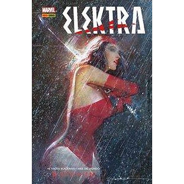 Elektra - Blutlinien, W. Haden Blackman, Mike Del Mundo