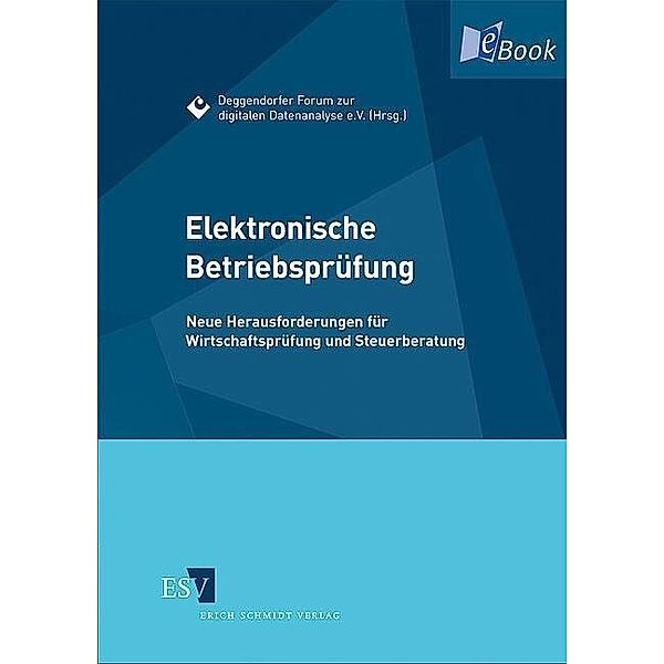 Elektronische Betriebsprüfung