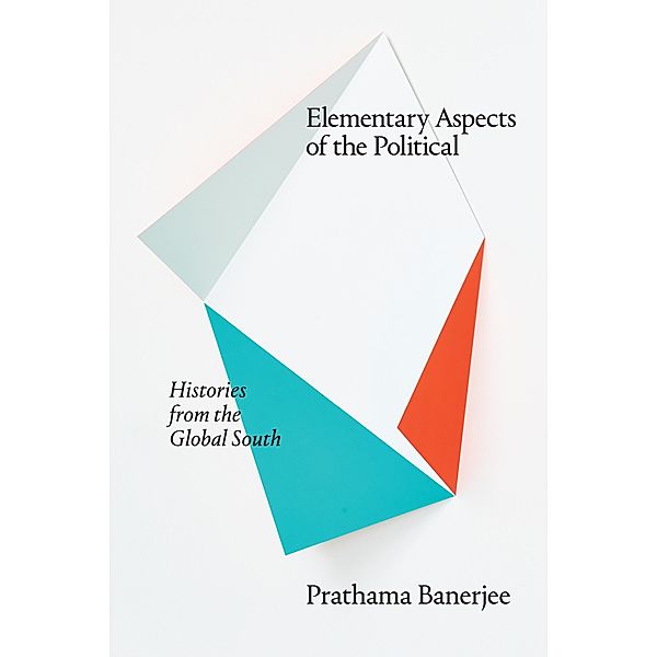 Elementary Aspects of the Political / Theory in Forms, Banerjee Prathama Banerjee