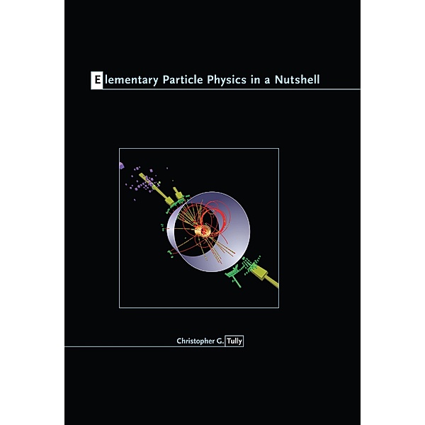 Elementary Particle Physics in a Nutshell / In a Nutshell, Christopher G. Tully