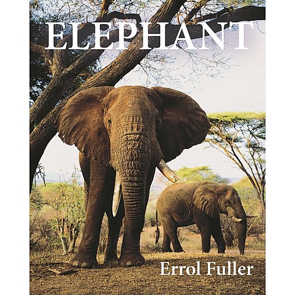 Elephant, Errol Fuller