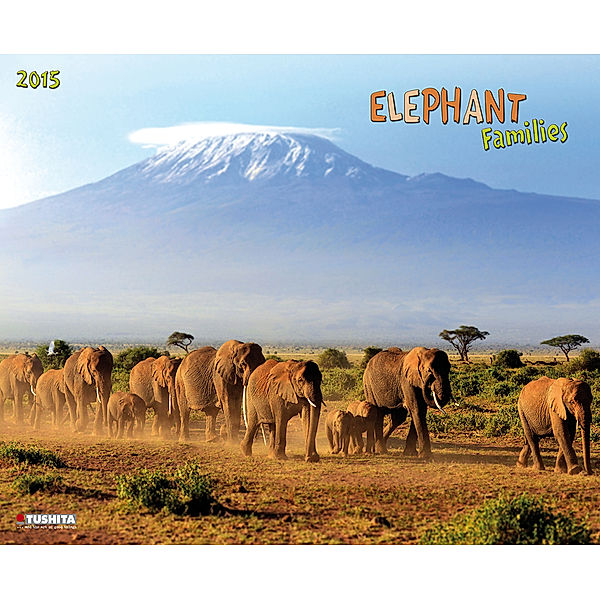 Elephant Families 2015
