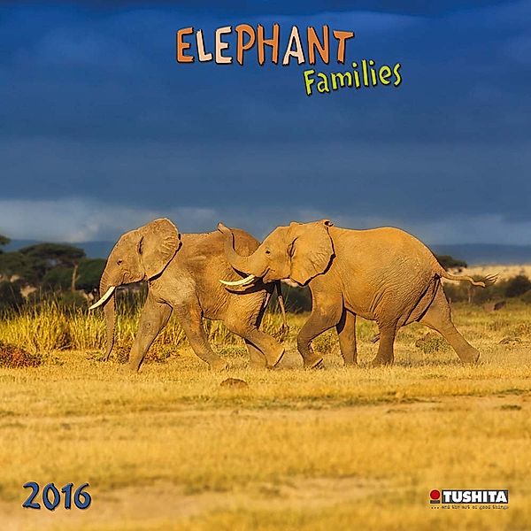 Elephant Families 2016