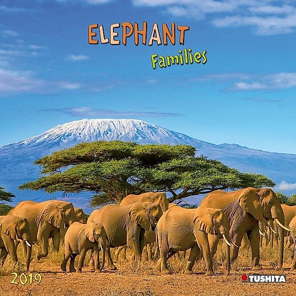 Elephant Families 2019