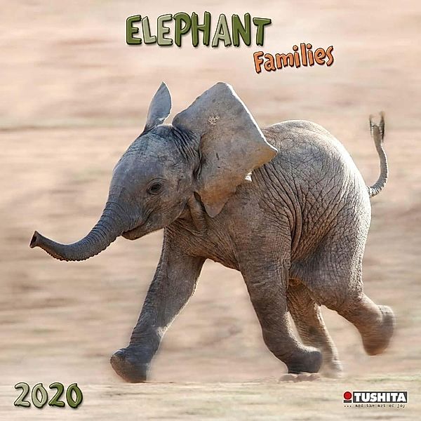 Elephant Families 2020