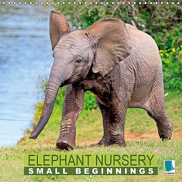 Elephant Nursery Small Beginnings (Wall Calendar 2017 300 × 300 mm Square), k.A. CALVENDO