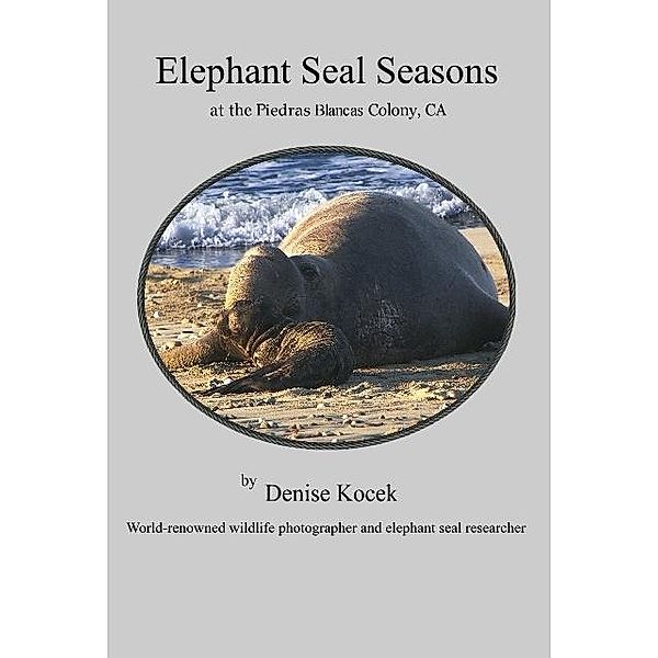 Elephant Seal Seasons at the Piedras Blancas Colony, CA / Denise Kocek, Denise Kocek