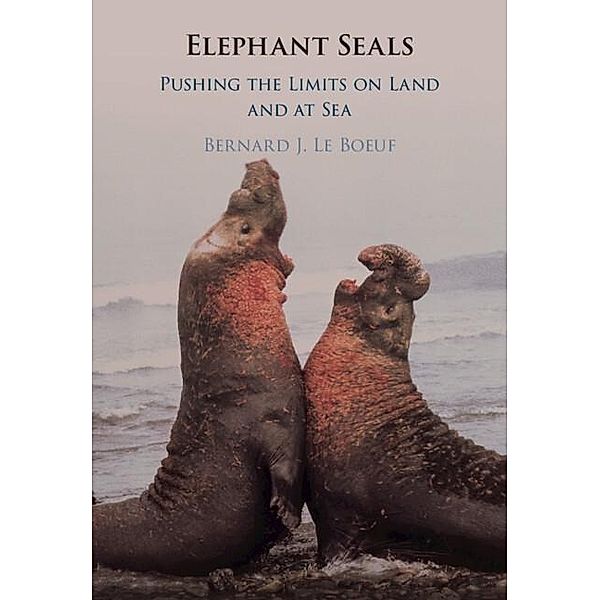 Elephant Seals, Bernard J. Le Boeuf