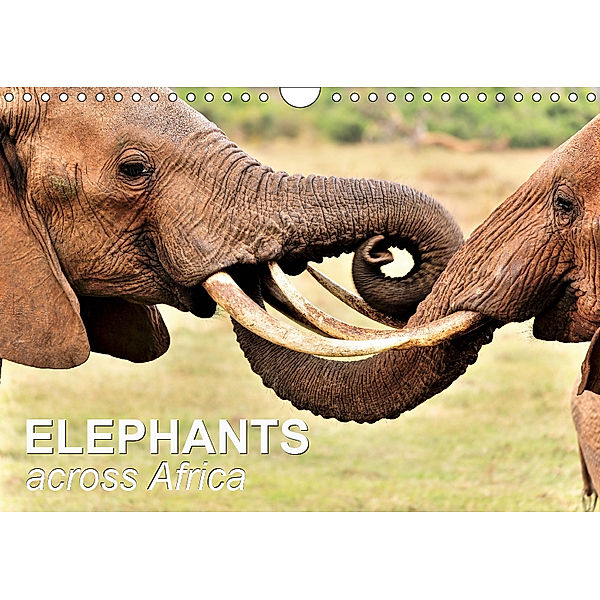 Elephants across Africa (Wall Calendar 2019 DIN A4 Landscape), Juergen Feuerer