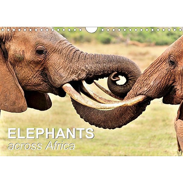 Elephants across Africa (Wall Calendar 2021 DIN A4 Landscape), Juergen Feuerer