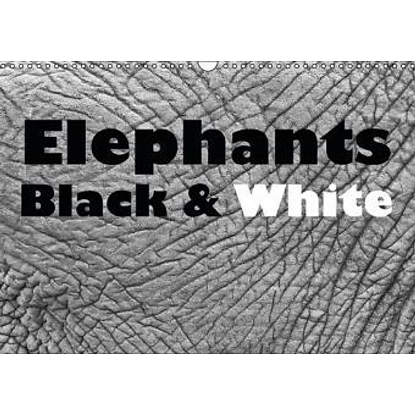 Elephants Black & White (Wall Calendar 2015 DIN A3 Landscape), Angelika Stern