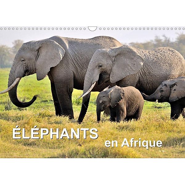 Éléphants en Afrique (Calendrier mural 2023 DIN A3 horizontal), Juergen Feuerer