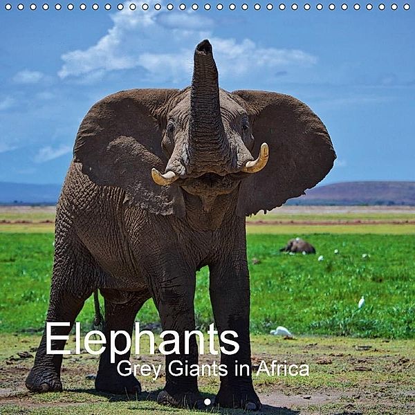 Elephants - Grey Giants in Africa (Wall Calendar 2018 300 × 300 mm Square), Rainer Tewes