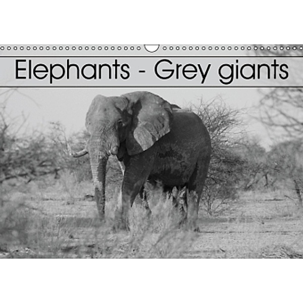 Elephants - Grey giants (Wall Calendar 2015 DIN A3 Landscape), Stefan Sander