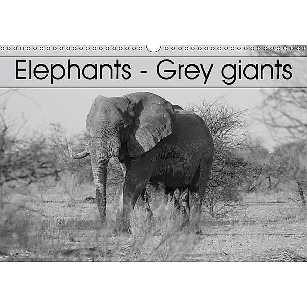 Elephants - Grey giants (Wall Calendar 2017 DIN A3 Landscape), Stefan Sander