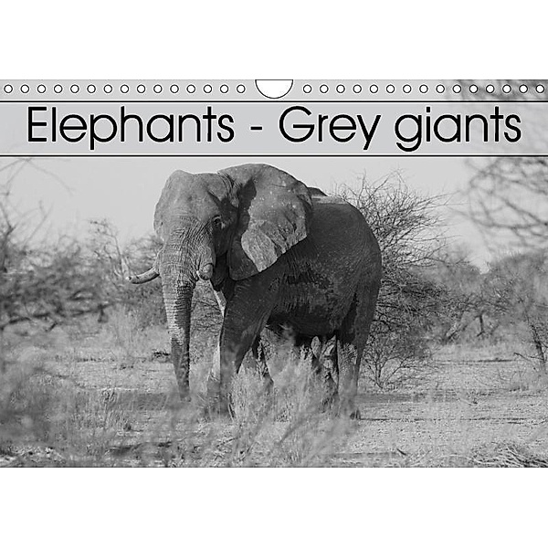 Elephants - Grey giants (Wall Calendar 2017 DIN A4 Landscape), Stefan Sander