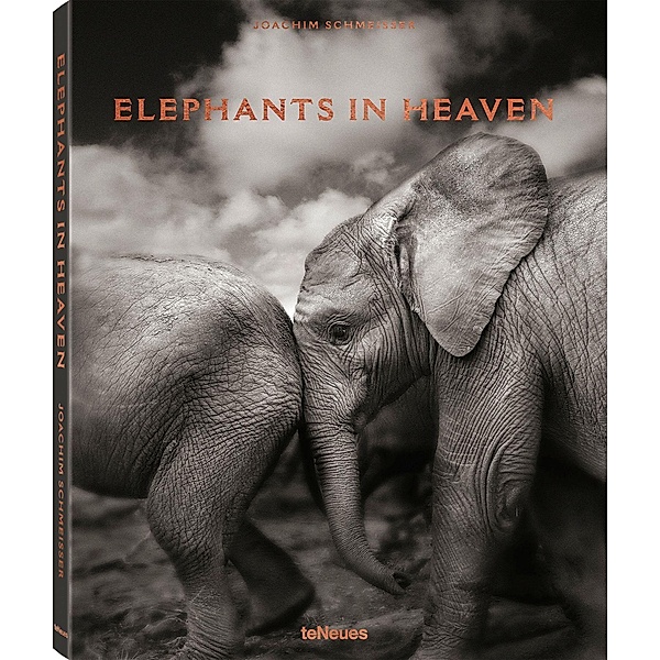 Elephants in Heaven, Joachim Schmeisser