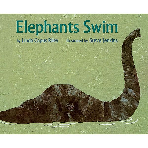 Elephants Swim / Clarion Books, Linda Capus Riley