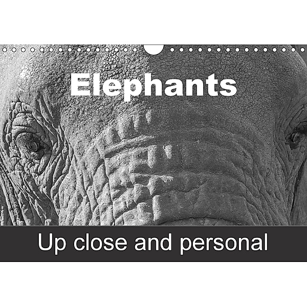 Elephants up close and personal (Wall Calendar 2018 DIN A4 Landscape), Antje Hopfmann
