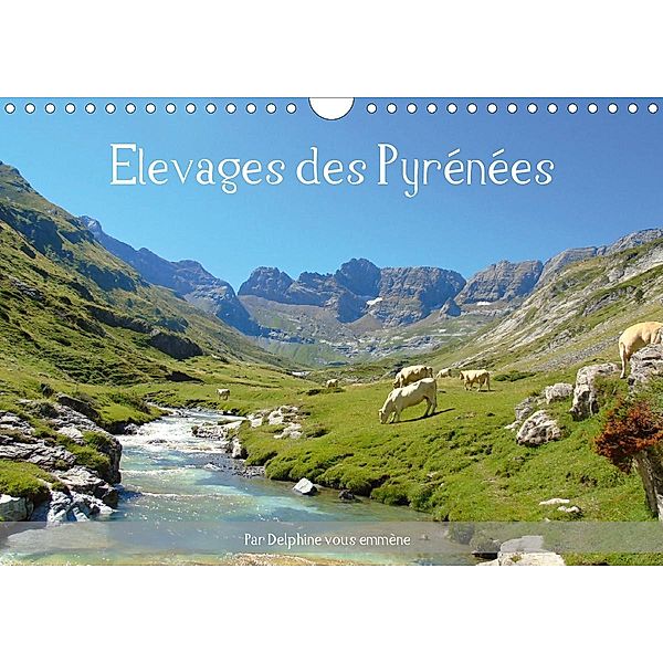 Elevages des Pyrénées (Calendrier mural 2021 DIN A4 horizontal), Delphine vous emmène