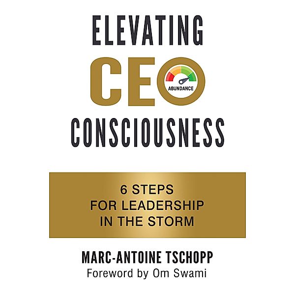 ELEVATING CEO CONSCIOUSNESS, Marc-Antoine Tschopp