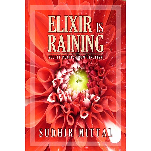 Elixir is Raining (Secret Pearls from Hinduism), Sudhir Mittal