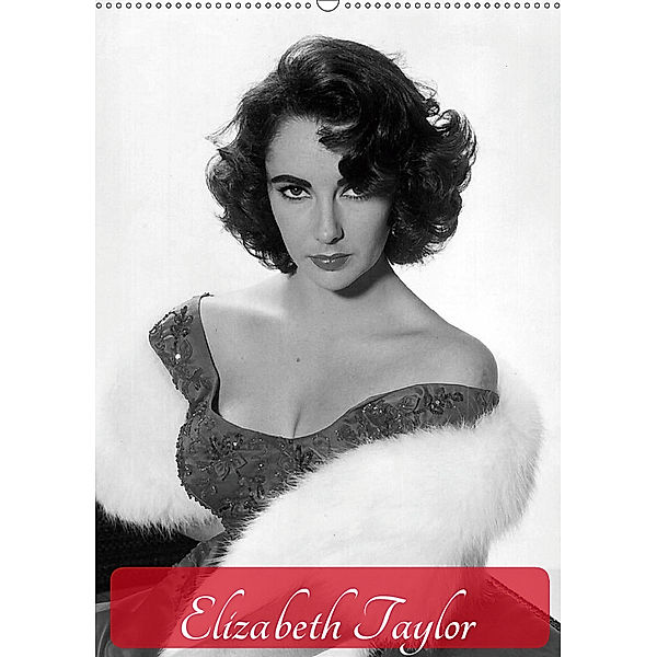 Elizabeth Taylor (Wandkalender 2019 DIN A2 hoch), Elisabeth Stanzer