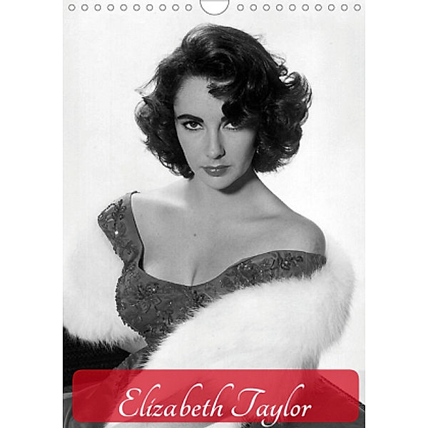 Elizabeth Taylor (Wandkalender 2020 DIN A4 hoch), Elisabeth Stanzer