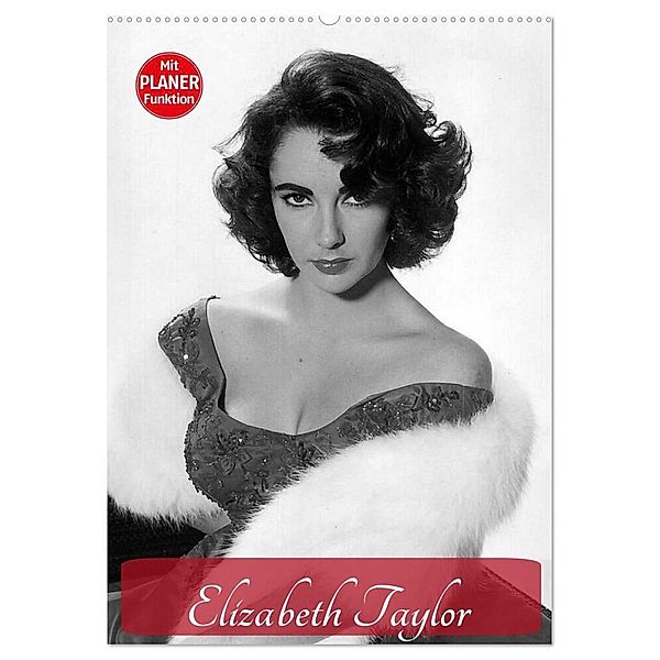 Elizabeth Taylor (Wandkalender 2024 DIN A2 hoch), CALVENDO Monatskalender, Elisabeth Stanzer