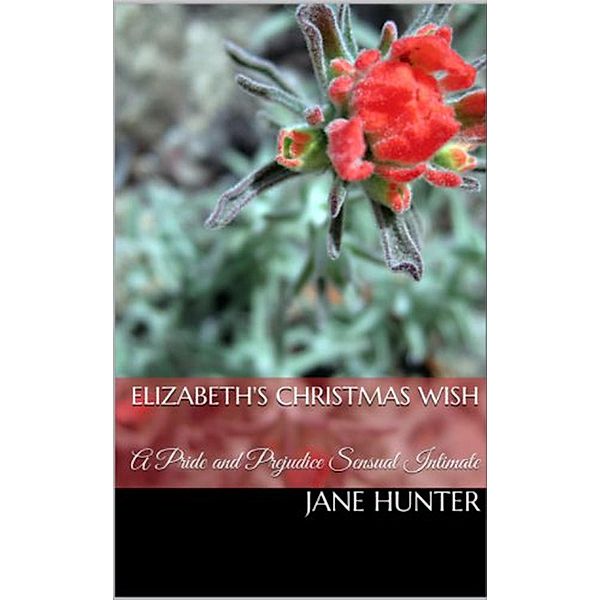 Elizabeth's Christmas Wish: A Pride and Prejudice Sensual Intimate, Jane Hunter