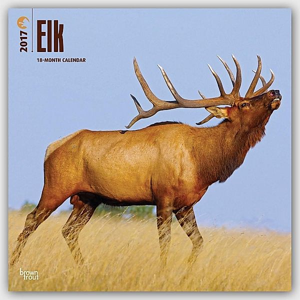 Elk - Hirsche 2017 - 18-Monatskalender