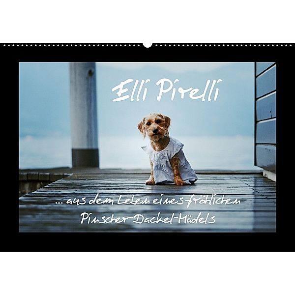 Elli Pirelli... aus dem Leben eines fröhlichen Pinscher-Dackel-Mädels (Wandkalender 2018 DIN A2 quer), Kathrin Köntopp
