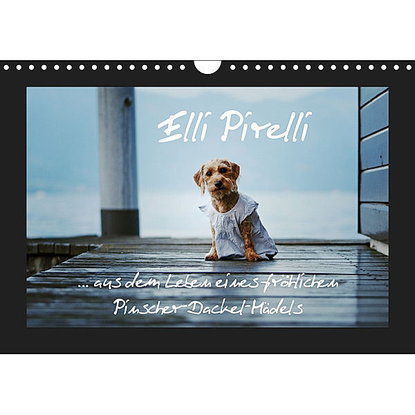 Elli Pirelli... aus dem Leben eines fröhlichen Pinscher-Dackel-Mädels (Wandkalender 2019 DIN A4 quer), Kathrin Köntopp