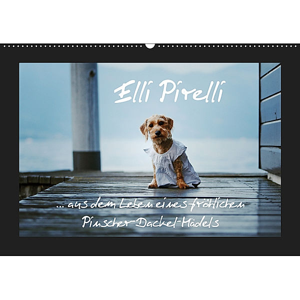 Elli Pirelli... aus dem Leben eines fröhlichen Pinscher-Dackel-Mädels (Wandkalender 2019 DIN A2 quer), Kathrin Köntopp