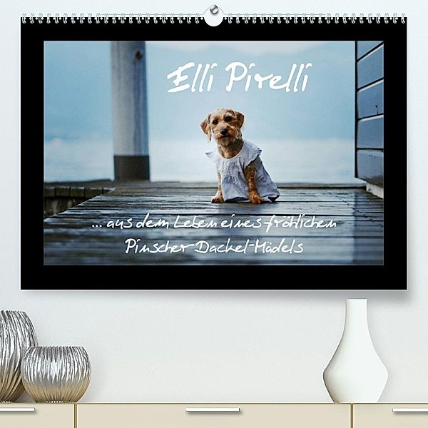 Elli Pirelli... aus dem Leben eines fröhlichen Pinscher-Dackel-Mädels (Premium, hochwertiger DIN A2 Wandkalender 2023, K, Kathrin Köntopp