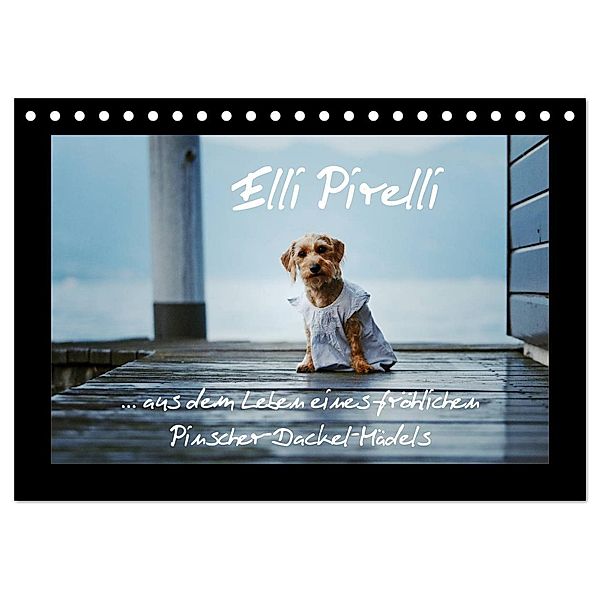 Elli Pirelli... aus dem Leben eines fröhlichen Pinscher-Dackel-Mädels (Tischkalender 2024 DIN A5 quer), CALVENDO Monatskalender, Kathrin Köntopp