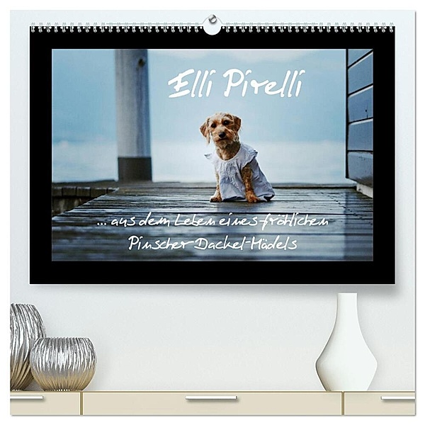 Elli Pirelli... aus dem Leben eines fröhlichen Pinscher-Dackel-Mädels (hochwertiger Premium Wandkalender 2024 DIN A2 quer), Kunstdruck in Hochglanz, Kathrin Köntopp