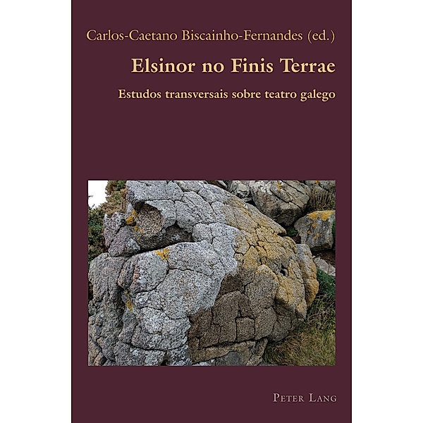 Elsinor no Finis Terrae / Hispanic Studies: Culture and Ideas Bd.87