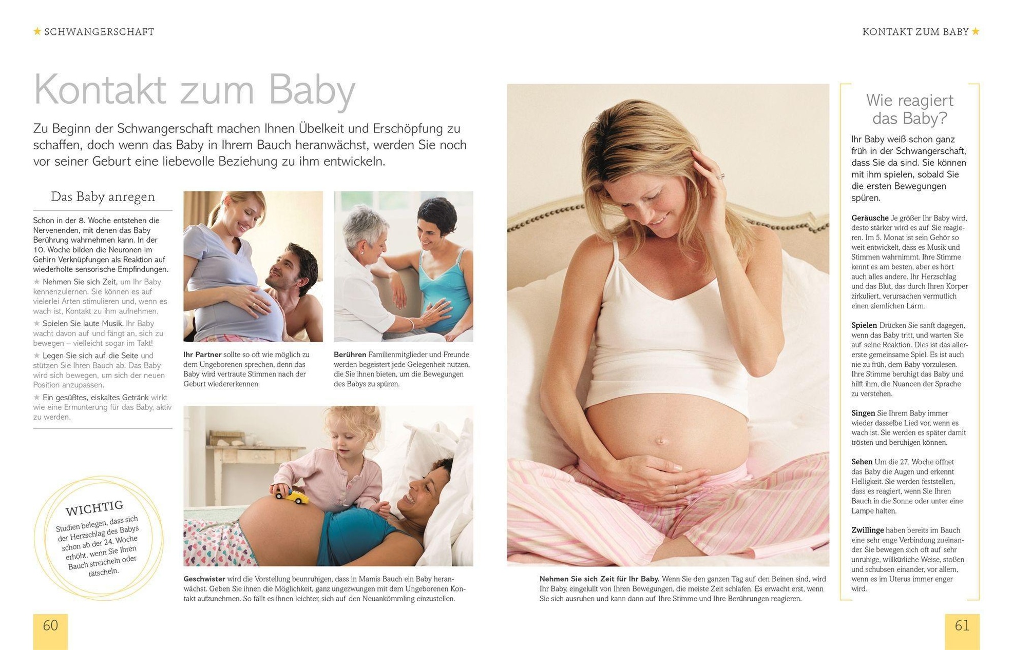 Gesenkt schwangerschaft bauch transfer.assist.org Bauch