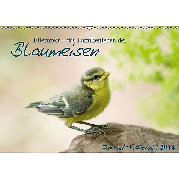 Elternzeit - das Familienleben der Blaumeisen (Wandkalender 2014 DIN A2 quer), Roland T. Frank