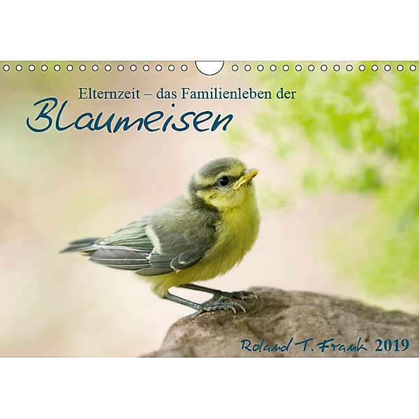 Elternzeit - das Familienleben der Blaumeisen (Wandkalender 2019 DIN A4 quer), Roland T. Frank