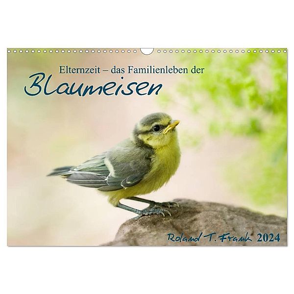 Elternzeit - das Familienleben der Blaumeisen (Wandkalender 2024 DIN A3 quer), CALVENDO Monatskalender, Roland T. Frank