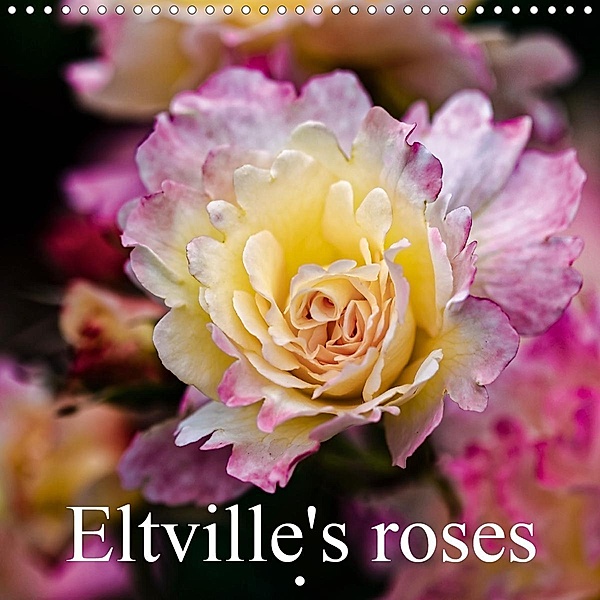 Eltville's roses (Wall Calendar 2021 300 × 300 mm Square), Dieter Meyer