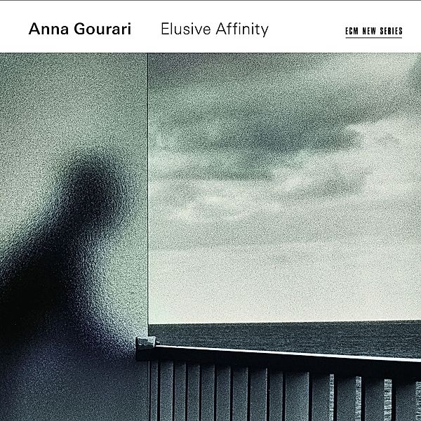 Elusive Affinity, Anna Gourari