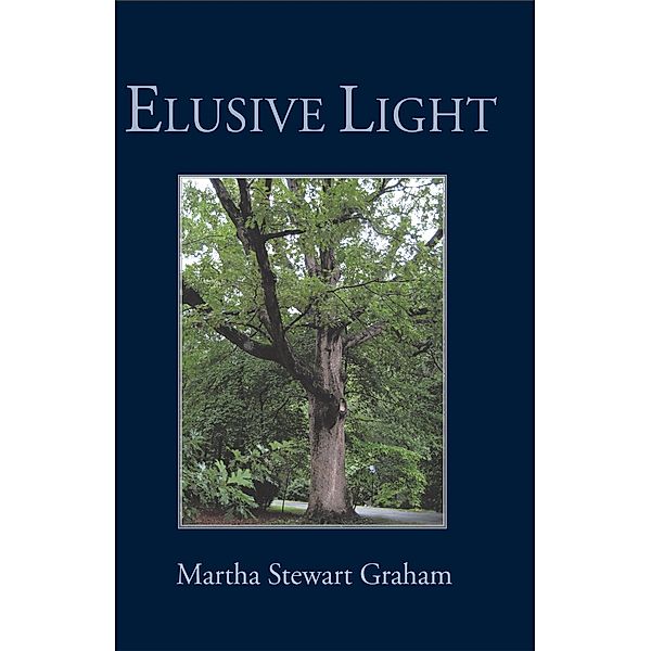 Elusive  Light, Martha Stewart Graham